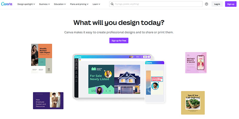 Creative Market Review: Pricing, Features, Pros And Cons