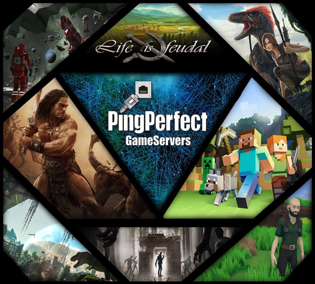 PingPerfect.com Review